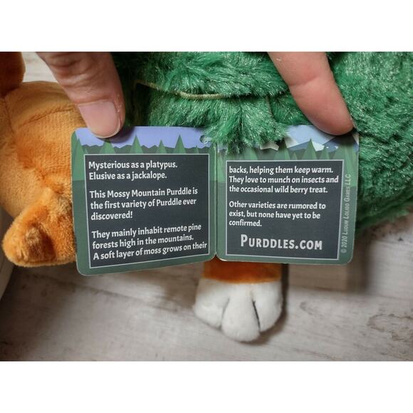 The Elusive Purddle Cat Turtle Unique Plush Stuffed Animal Mfg by Squishable - Picture 11 of 12